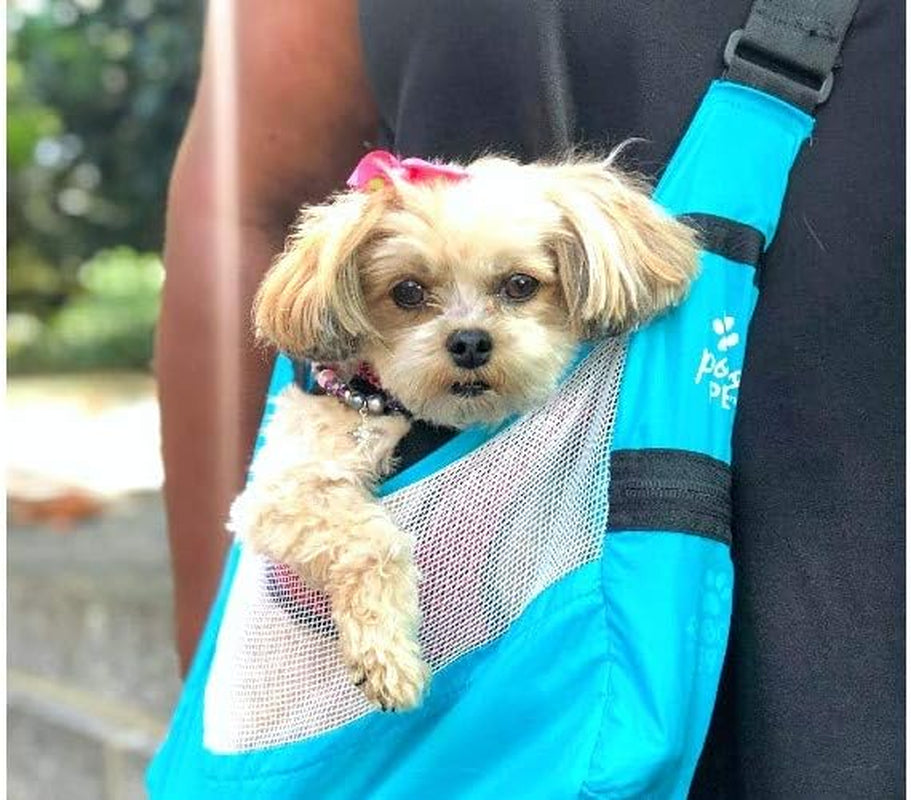 Small Dog Sling Travel Carrier | Fits in Your Pocket | Mesh Ventilation, Adjustable Strap, Holds Dogs up to 10 Pounds | Bright Blue | Amazon