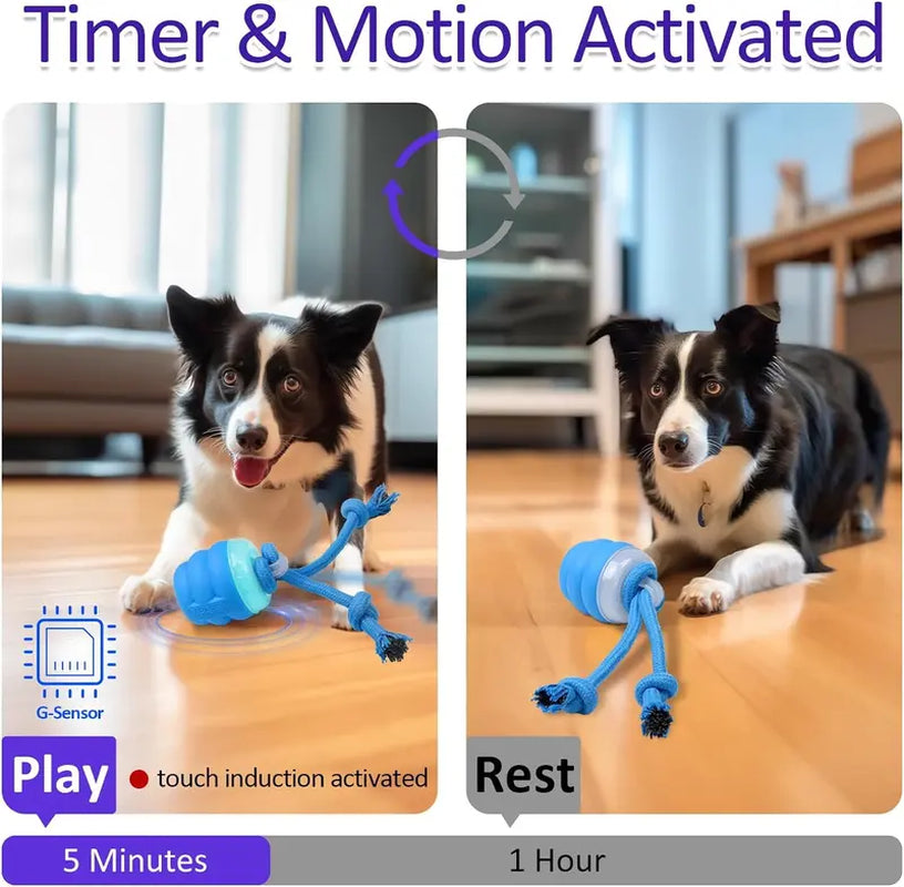 "Motion Activated Interactive Squeaky Rolling Ball Dog Toy for Daily Training - Blue"