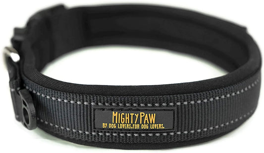 Neoprene Padded Dog Collar, Sports Collar with Reflective Stitching, Extra Comfort for Active Dogs