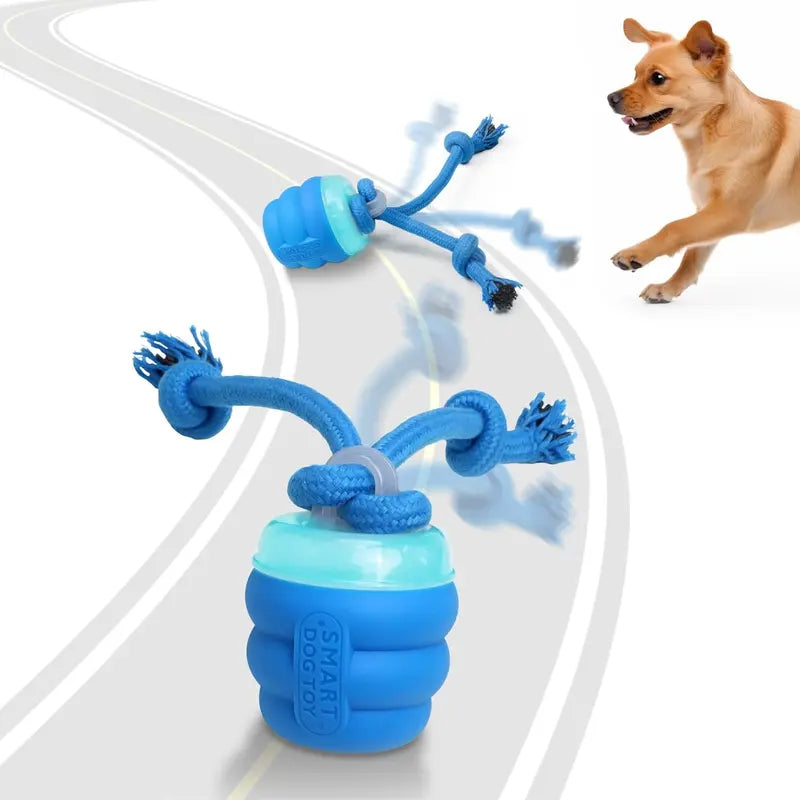 "Motion Activated Interactive Squeaky Rolling Ball Dog Toy for Daily Training - Blue"