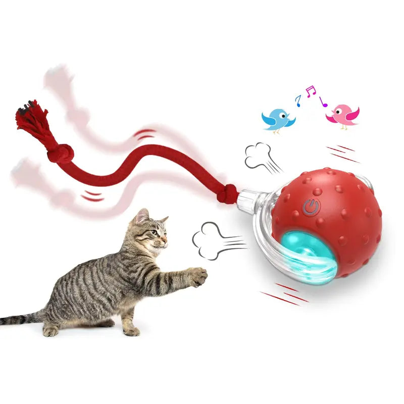 [Deals for You Days]Interactive Cat Toys Ball for Indoor Cats Fast Rolling on Carpet, Chirping & Motion Activate Cat Toys