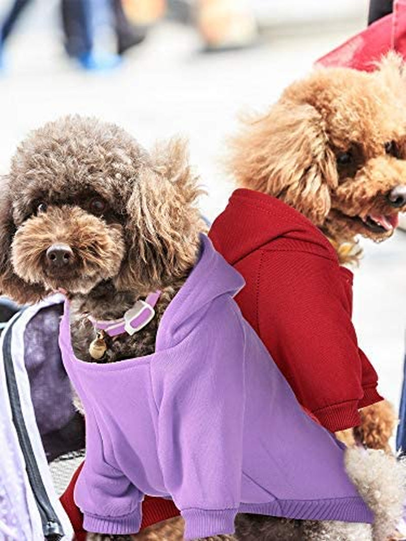 4 Pieces Dog Hoodie Dog Sweaters with Hat, Cold Weather Cotton Dog Hoodies with Pocket Hooded Clothes Apparel Costume Puppy Cat Winter Hoodies Warm Coat Sweater for Small Dogs Cats Puppy Animal (S)